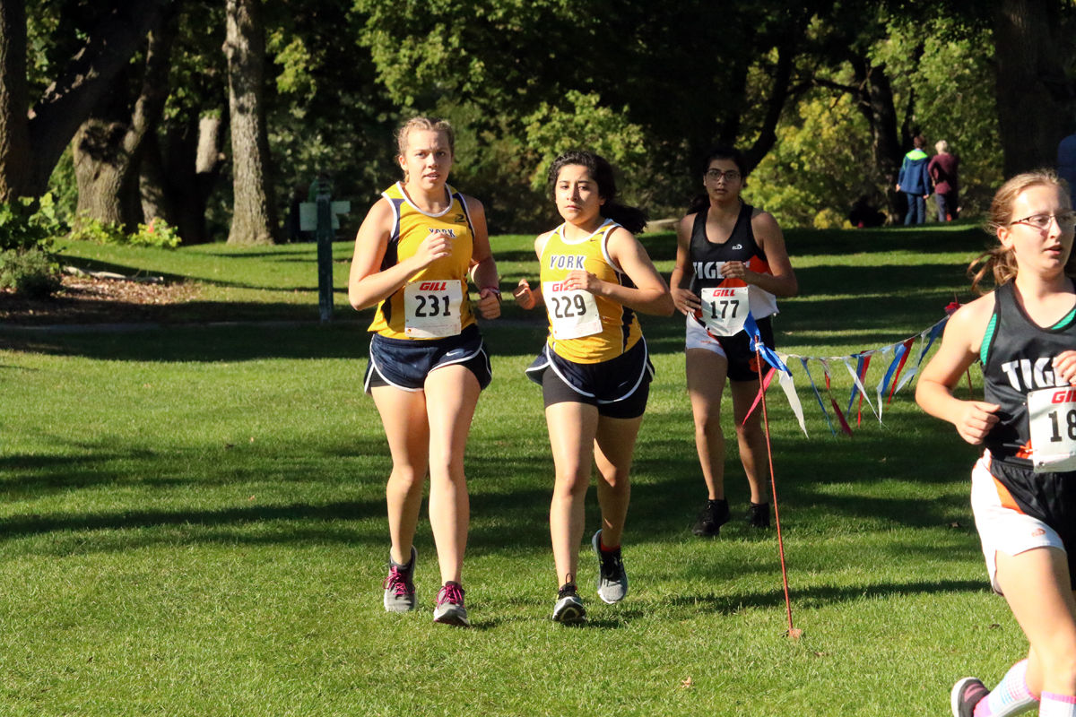 York Cross Country Invite (12).jpg